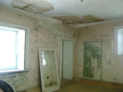 1075791_10201475103816908_1707186119_n