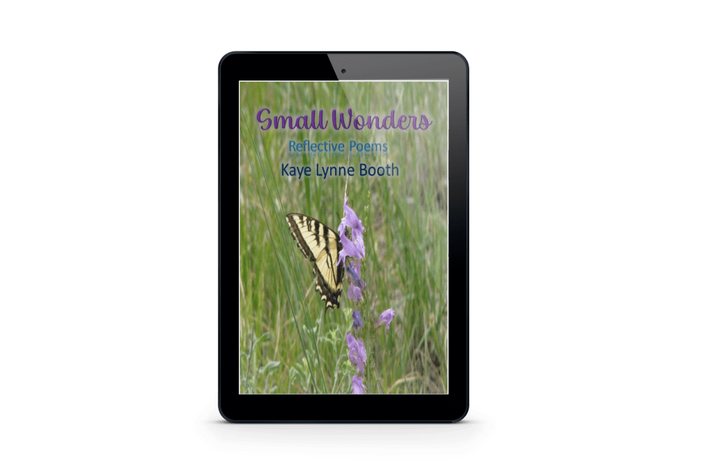 Small Wonders on a digital device
Book Cover: Butterfly on a purple bell flower
Text: Small Wonders, Reflective Poems, Kaye Lynne Booth