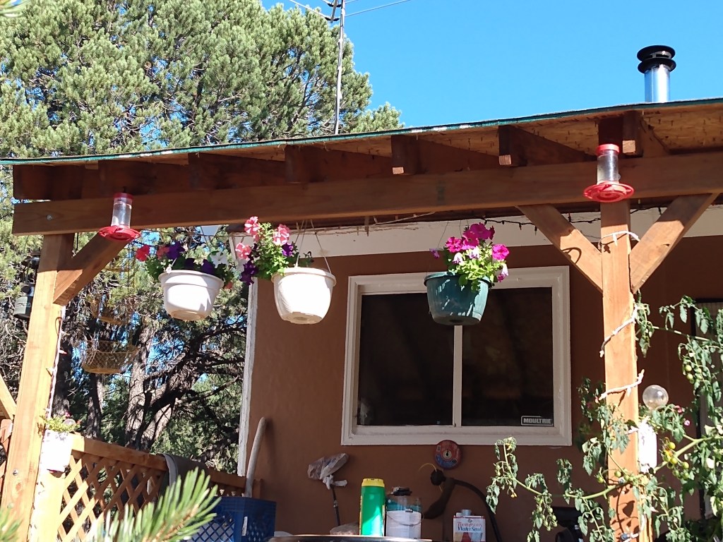 Hanging pots with petunias along the front of a porch
