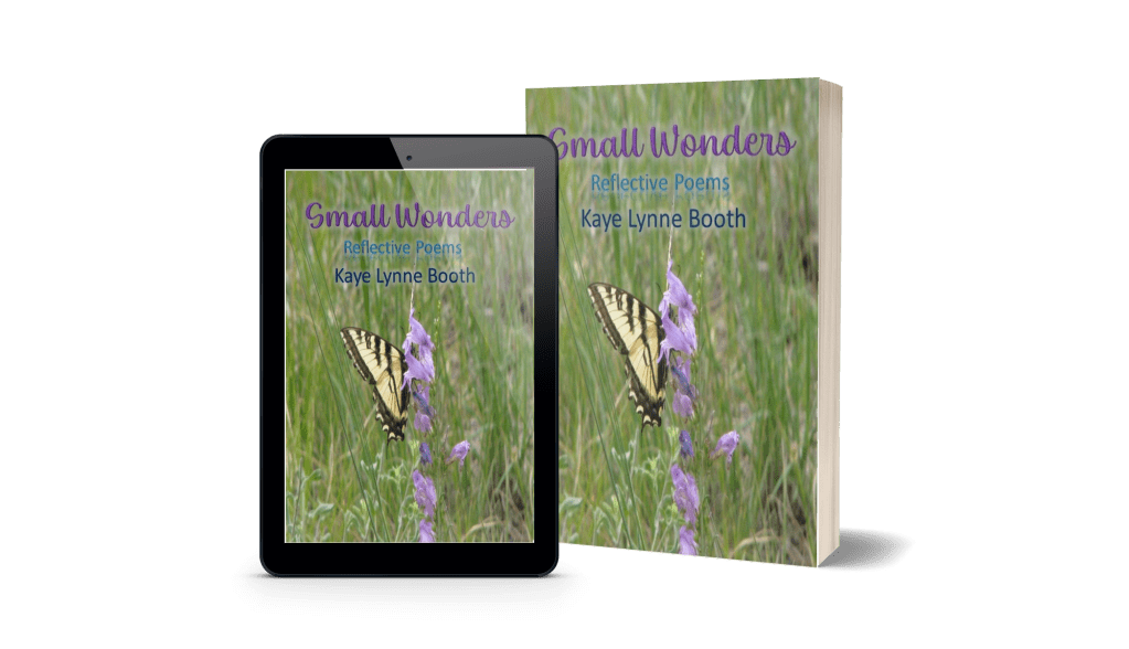 Digital and print copies of Small Wonders