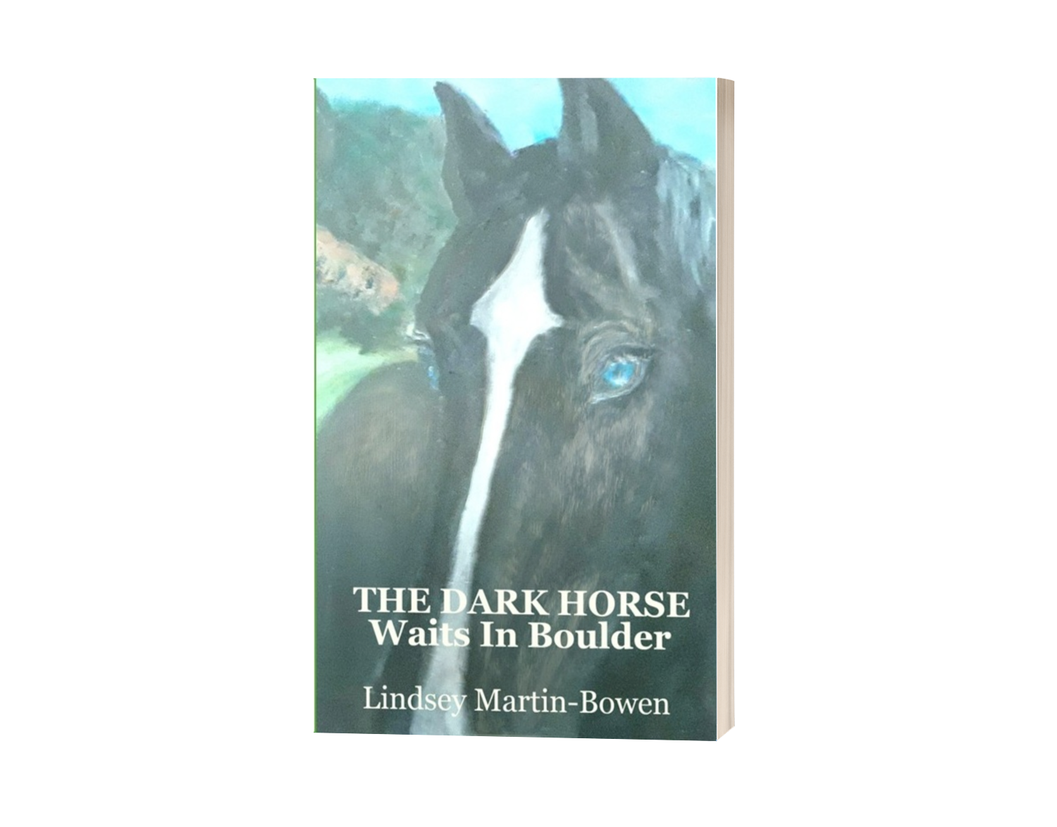 Book Cover: The Dark Horse Waits in Boulder, by Lindsey Martin-Bowen