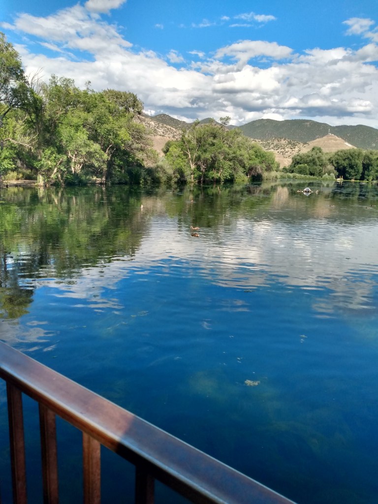 blue water with dicks