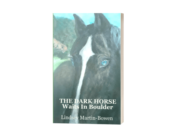 The Dark Horse Waits in Boulder, by Lindsey Martin-Bowen