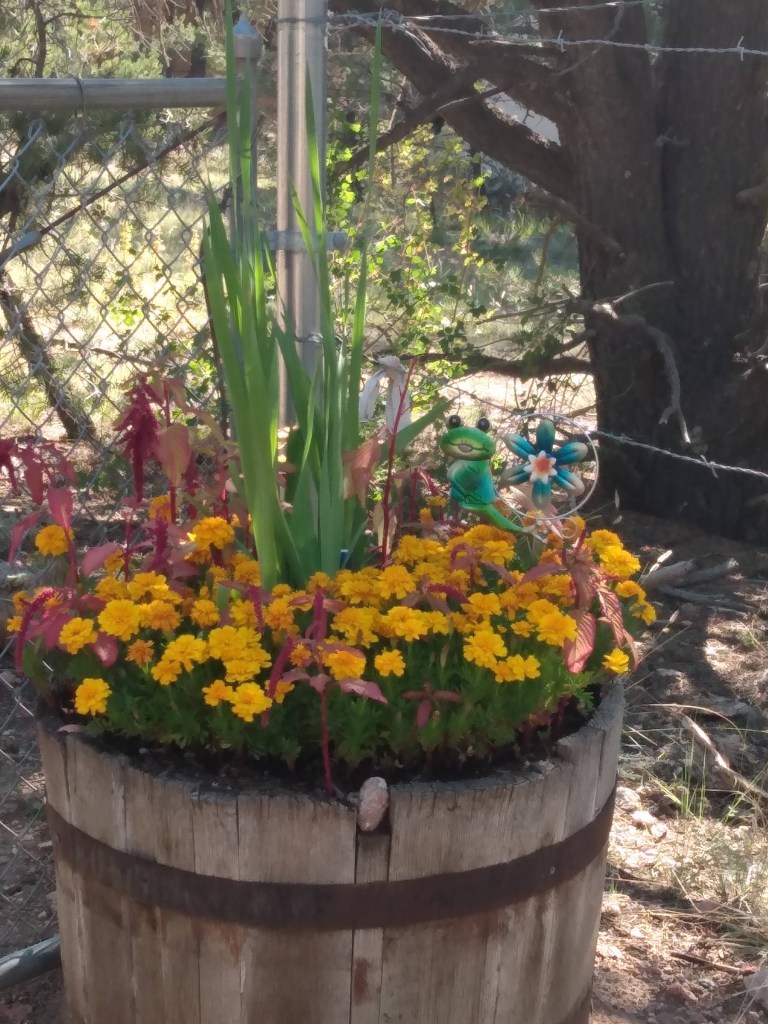 Orange Marigolds & Pink Love-Lies-Bleeding surrounding Gladiola stalk