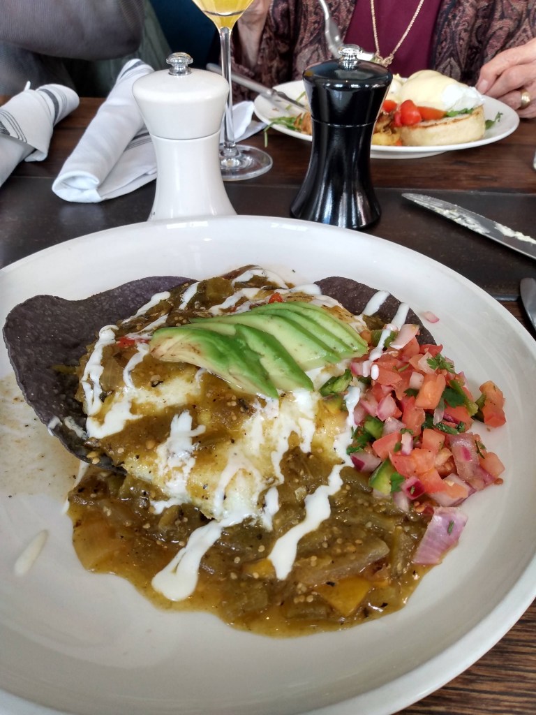 Food covered in brown sauce with pico de gijo and avocado garnish