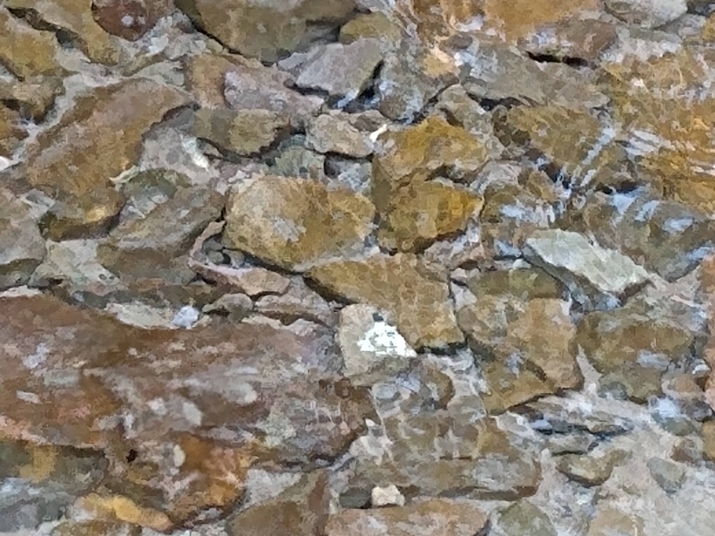 Brown river bottom