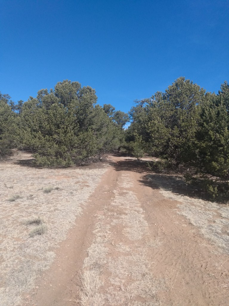 Brown road