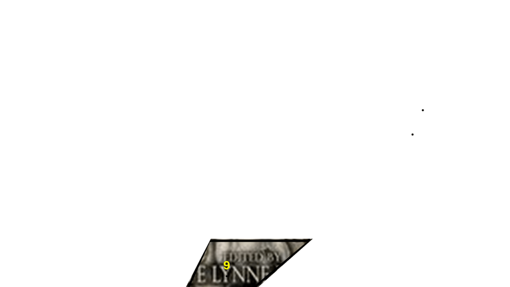 Puzzle Piece 9
